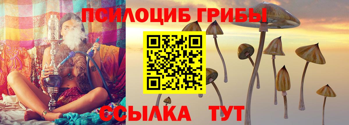 Псилоцибиновые грибы Psilocybine cubensis Егорьевск