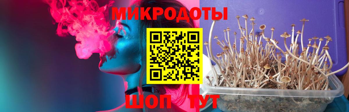 Егорьевск  Галлюциногенные грибы мухоморы  Вход с VPN 